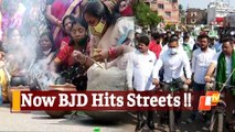 BJD’s Cycle Rally & Chulha Protest Over Rising Fuel Price, LPG Cylinder Rate