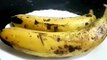 पके केले से बनाएं स्वादिष्ट लड्डू I Pake kele ki Unique Recipe I Banana Ladoo I How to make Banana Ladoo by Safina Kitchen