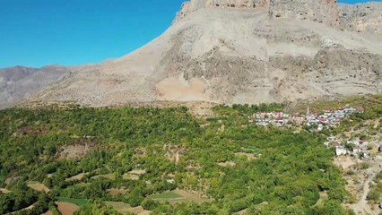DİYARBAKIR - Akdeniz iklimine sahip Geçit köyünde nar hasadı telaşı