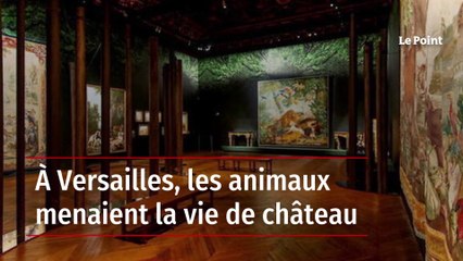 À Versailles, les animaux menaient la vie de château