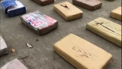 Colombia confisca 2.2 toneladas de cocaína oculta en el puerto de Cartagena de Indias
