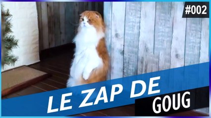 LE ZAP DE GOUG N°2 - FUN, FAILS, CHOC & INSOLITE