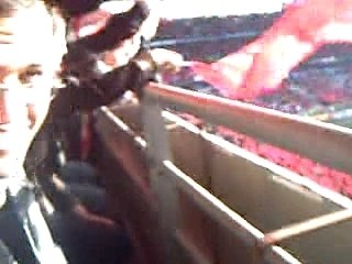 sidi bel abbes usmba 2