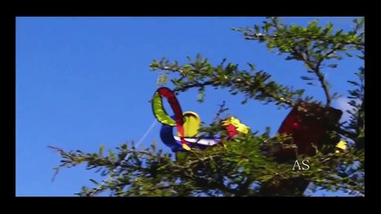 criaturas mortais da floresta - parte 1