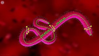 most dangerous virus on earth [Nepali]