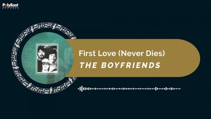 The Boyfriends - First Love (Never Dies) (Official Music Visualizer)