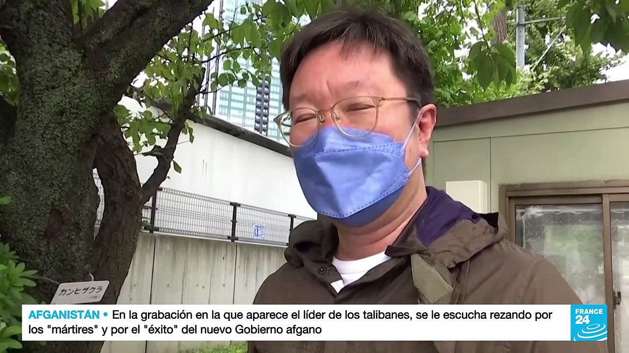 Japón: proyecciones de las legislativas vislumbran un revés para el primer ministro Fumio Kishida