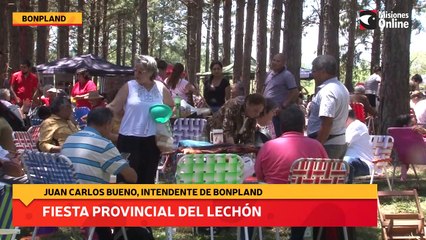 Fiesta provincial del lechón