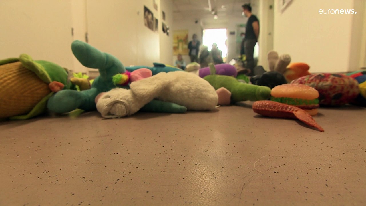 'Genie-Hund': Und jetzt hol' Darth Vader