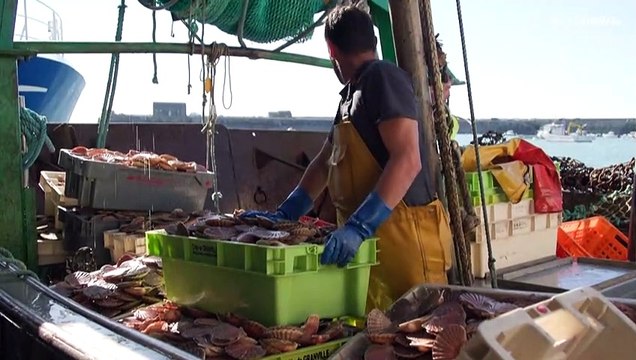 Рыбный вопрос на полях саммита Большой двадцатки