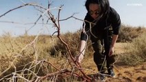 In Russia il primo deserto europeo prodotto dal cambiamento climatico