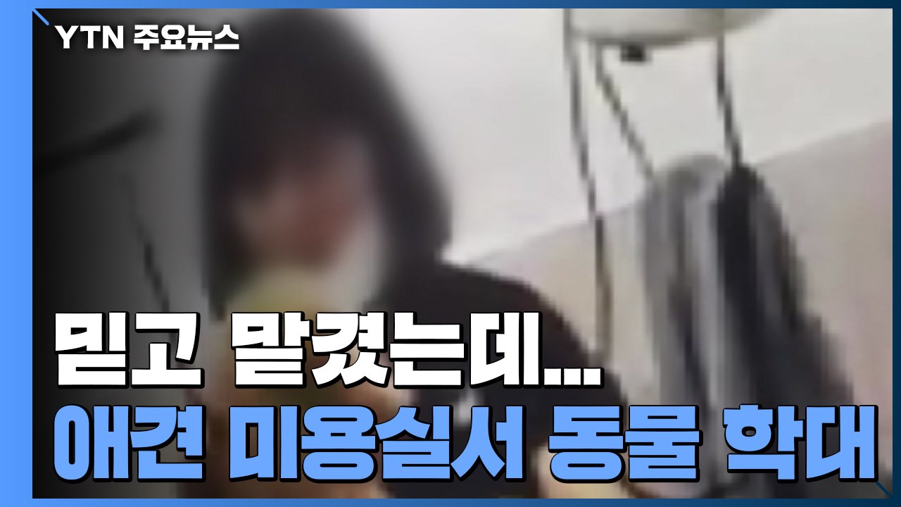 [제보는Y] 믿고 맡겼는데..."애견 미용실 직원이 목 조르고 때려" / YTN