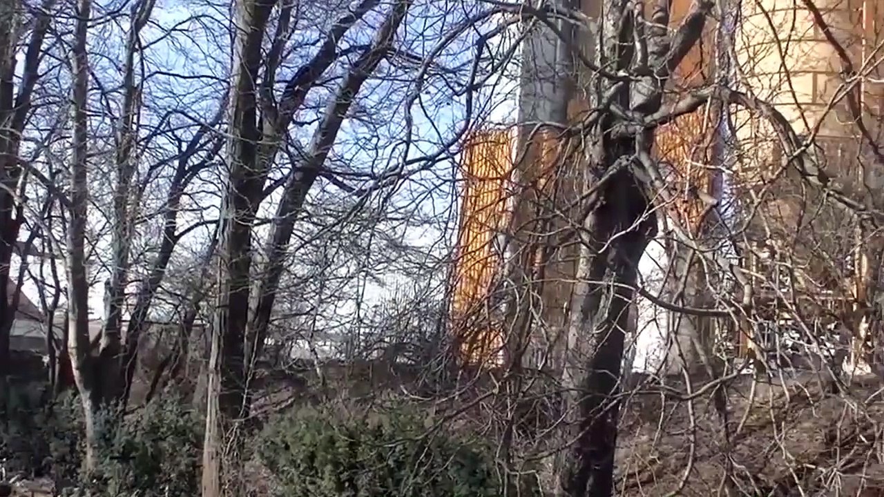 Halloween, Allerheiligen und Co. | Studio 21 Spezial