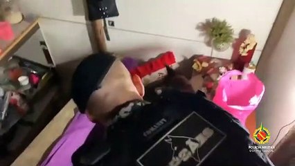 Cães da Polícia Militar farejam maconha e LSD na Rodoviária Interestadual