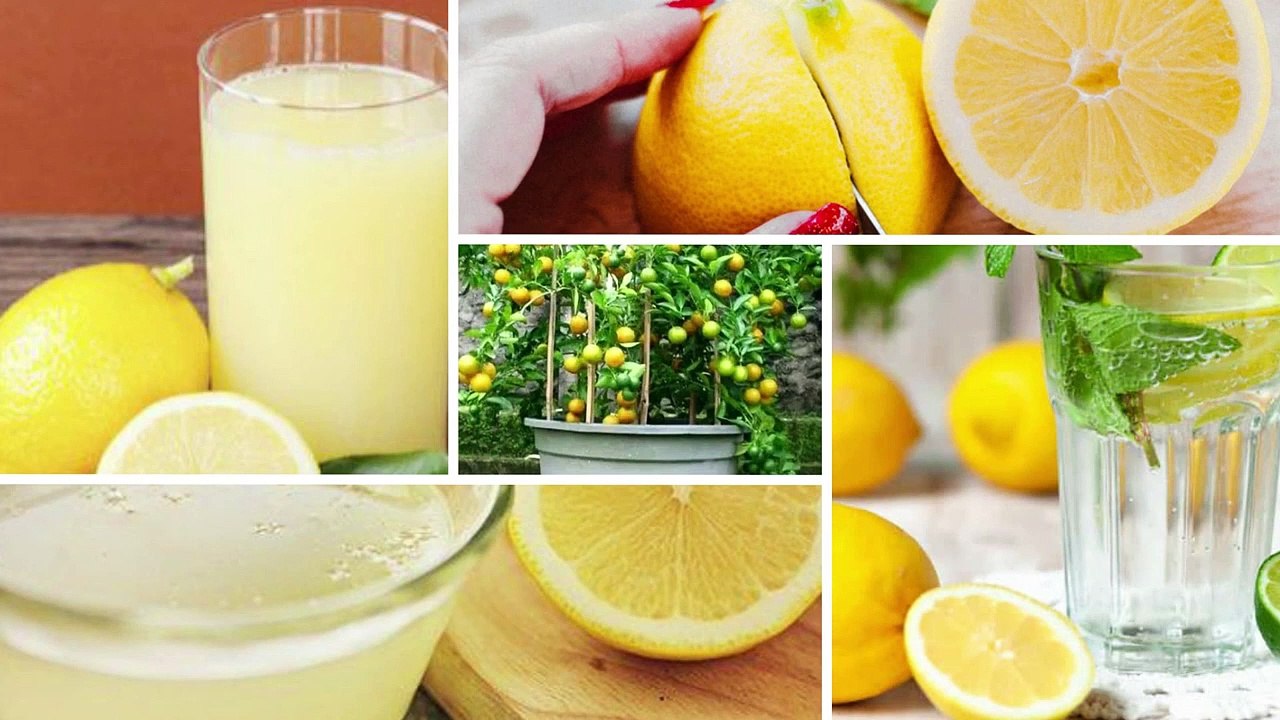 15 Manfaat Air Lemon bagi Kesehatan