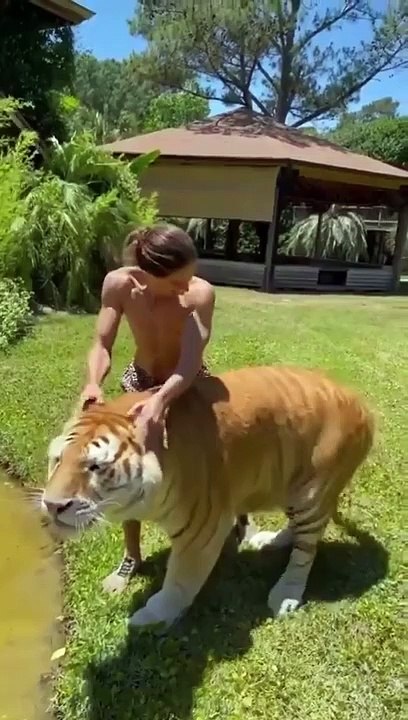 Best Funny Animal Videos of the year, funniest animals ever. relax with cute animals.