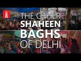 The Other Shaheen Baghs of Delhi