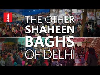 The Other Shaheen Baghs of Delhi