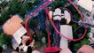 Sheikra Dive Coaster (Busch Gardens Theme Park - Tampa, FL) - 4K Roller Coaster POV Video - Front Row