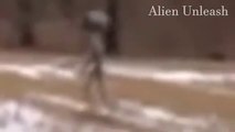 Alien going back to UFO caught on camera   - Real alien caught on camera - Alien & UFO footage - Alien & UFO Disclosed