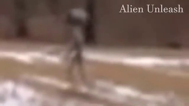 Alien going back to UFO caught on camera - Real alien caught on camera - Alien & UFO footage - Alien & UFO Disclosed
