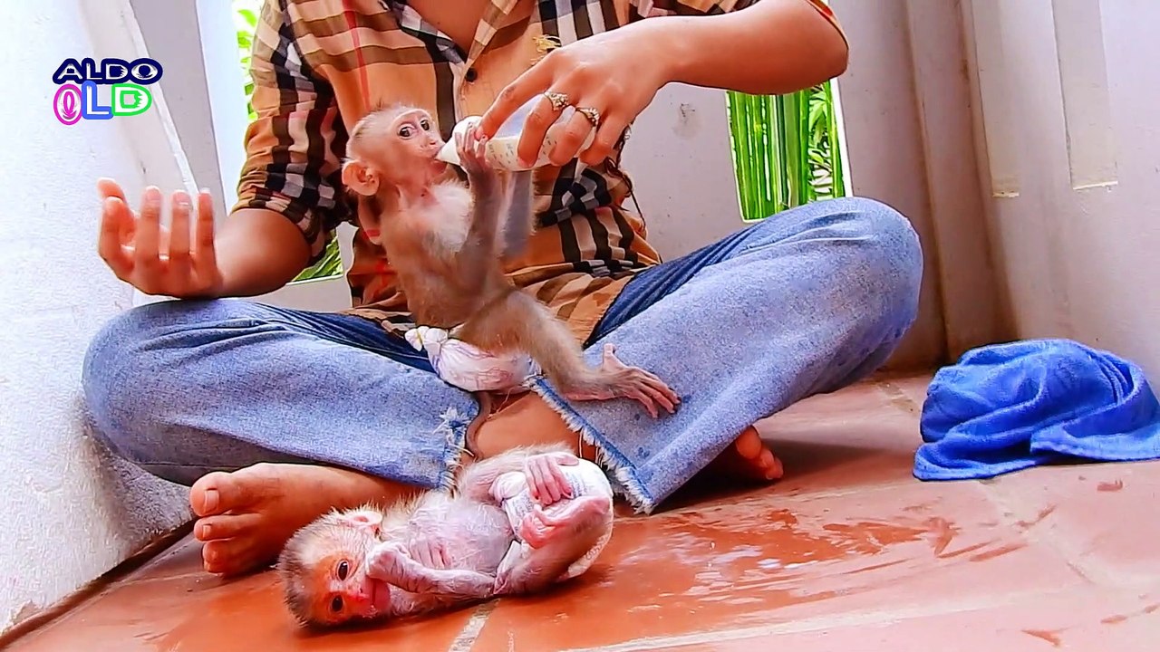 14=How Cute Newborn AVA Getting Milk After Nap, Baby AVA Get Healthy, Sister Train AVA Learn Drink#14