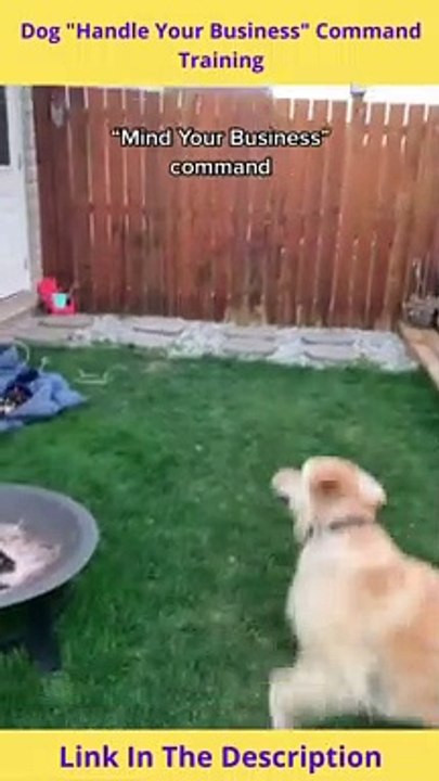 Dog "Handle Your Business" Command Training | Dog "Mind Your Business" Training