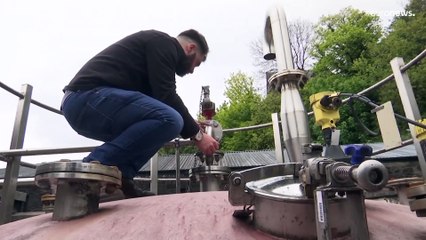 Du whisky contre le carbone : l'exemple des producteurs écossais