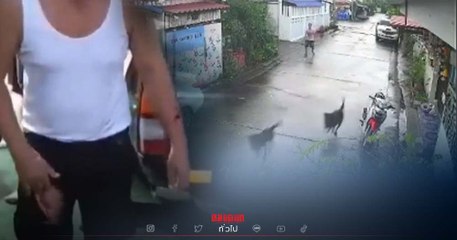 ชาวบ้านเอือมระอา หนุ่มปล่อยร็อตไวเลอร์ไล่กัดคน จ.สมุทรสาคร