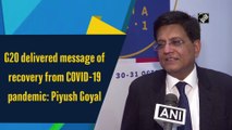 G20 delivered message of recovery from Covid-19 pandemic: Piyush Goyal