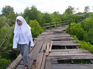 Jembatan Penghubung Desa Tanjung Bunga dan Kuala Merbau Rusak