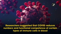 Research explores how immune system gets altered by Covid-19