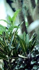 i wish i could talk to you , one last time.