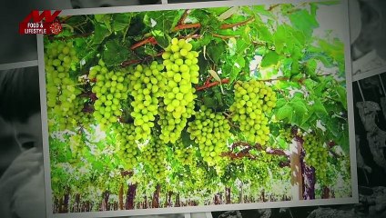 9 Foods You Should Never have with milk, Watch video