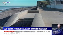 Seine-Maritime: la France face à la montée des eaux