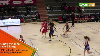 La coupe des cinaciennes s'arrête chez les Panthers Liège