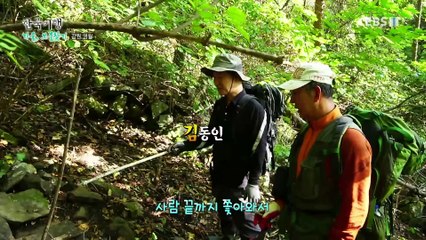 한국기행 - Korea travel_가을, 보물찾기 1부- 위험천만 보물 산행_#001