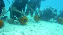 Un grupo de buzos en Florida celebra Halloween bajo el agua