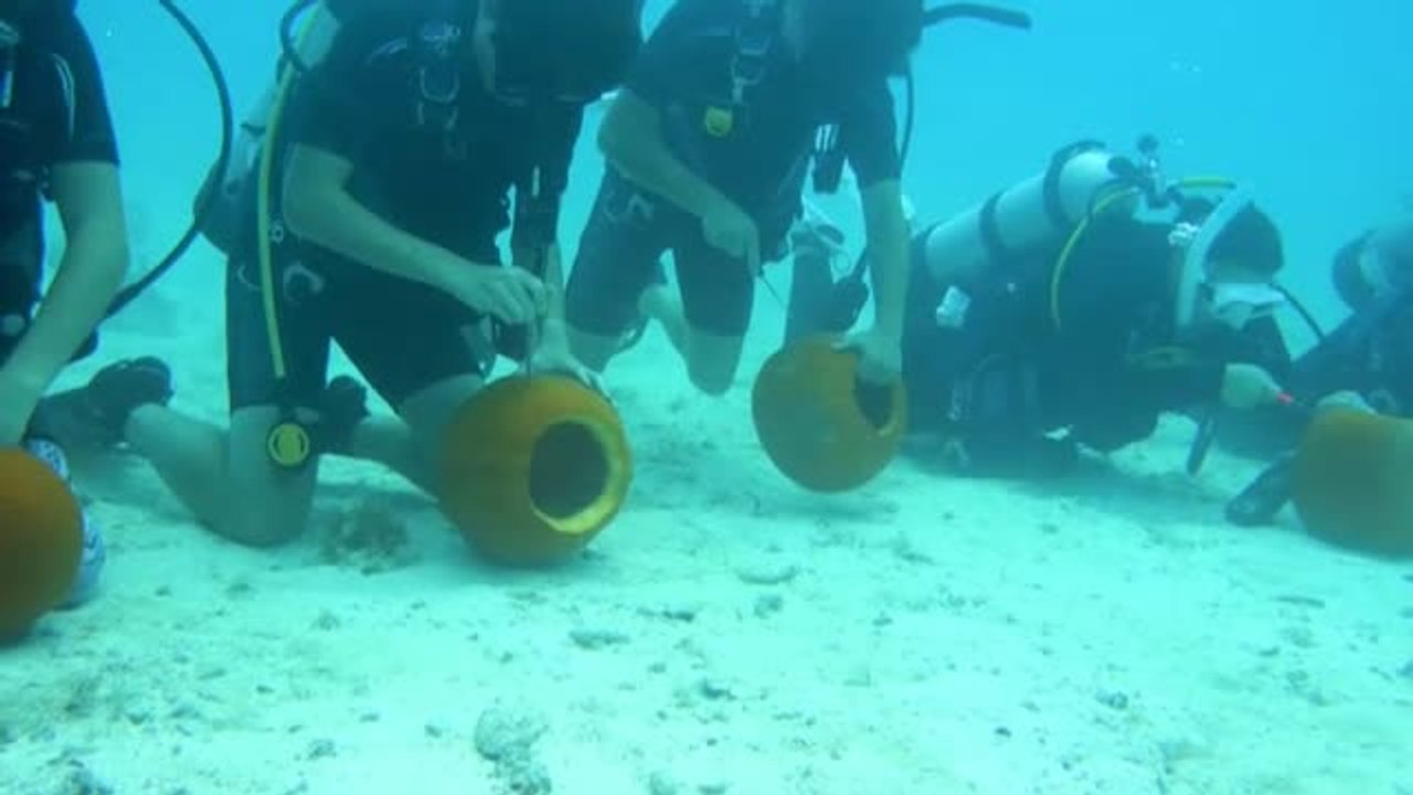 Un grupo de buzos en Florida celebra Halloween bajo el agua