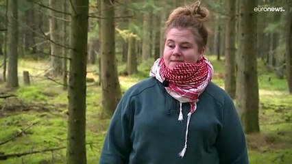 „Weglaufen, schreien, den Hund loslassen?“: Dänin von Wolf verfolgt