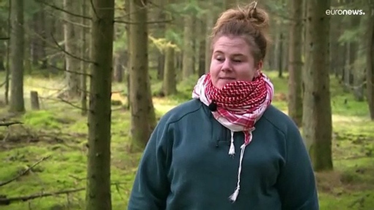 „Weglaufen, schreien, den Hund loslassen?“: Dänin von Wolf verfolgt