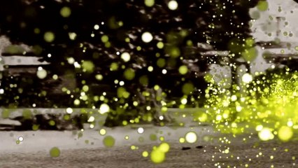 Die Walküre, WWV 86B - Fantasie