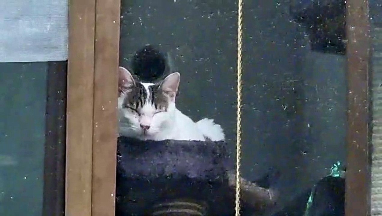つまらない表情で見る