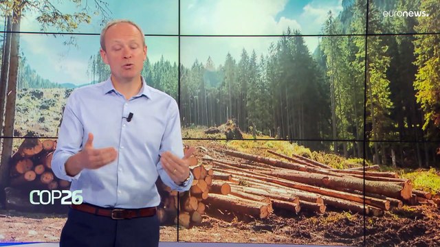 COP26: diferencia entre las emisiones de CO2 y las concentraciones de CO2