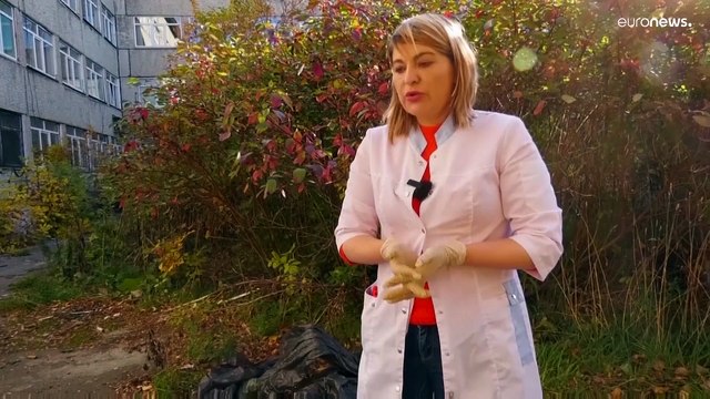 Сахалин превращается в зеленый остров