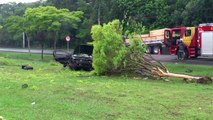 Em possível racha, jovem bate carro contra árvore e morre na hora