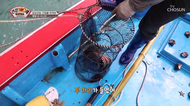 직접 잡은 문어로 만든 암의 극복 제철 해산물 건강 밥상! TV CHOSUN 211101 방송
