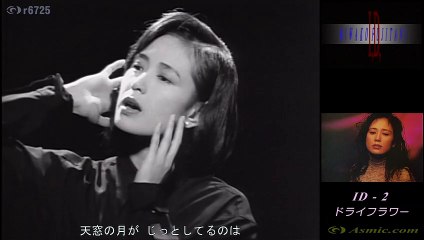 藤谷美和子　ドライフラワー ／ 1994 ID - 2