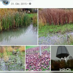 verfressenes Wochenende&Filme*vegane &sosse*Domino*pfannkuchen*Corona Tag 591/592