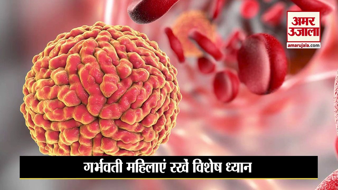 Zika Virus।Zika virus Symptom Treatment। जीका व...